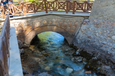 Vriz, Konya 'nın Halkapnar ilçesinin Vriz ilçesine bağlı bir Demir Çağı koruma alanıdır..