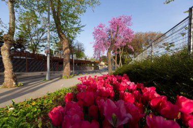 Vriz, Konya 'nın Halkapnar ilçesinin Vriz ilçesine bağlı bir Demir Çağı koruma alanıdır..