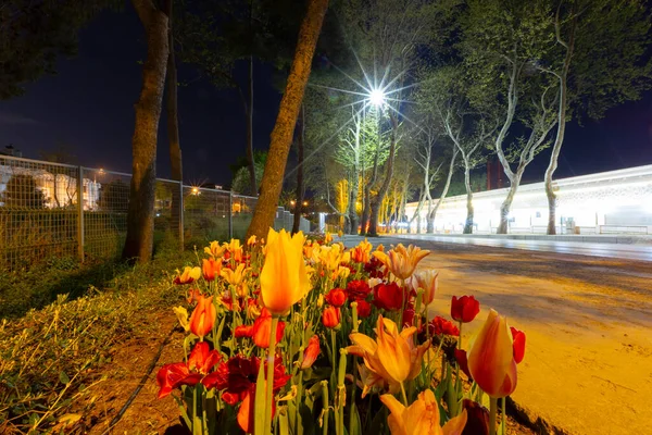 Mevlana Mezarı Konya Lale Bahçeleri — Stok fotoğraf