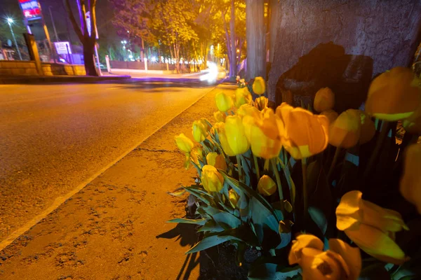 Mevlana Tomb Konya Tulip Gardens — Stock fotografie