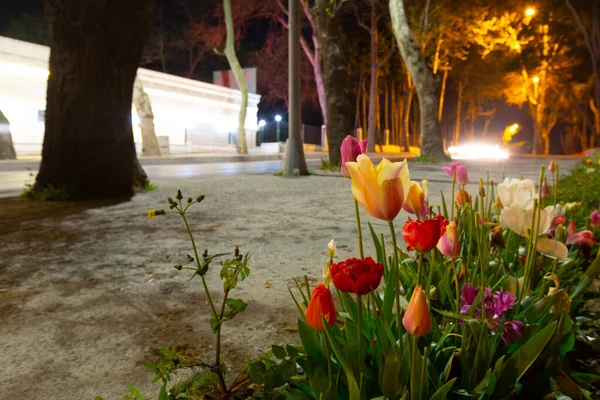 Mevlana Tomb Konya Tulip Gardens — Stock fotografie