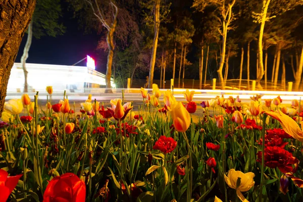 Mevlana Tomb Och Konya Tulip Gardens — Stockfoto