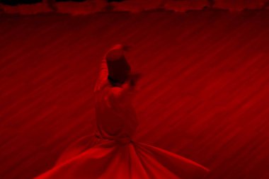 Mevlana Müzesi, 1926 'dan beri Mevlana' nın eski locası olan Konya 'daki bina kompleksinde faaliyet gösteren bir müzedir..