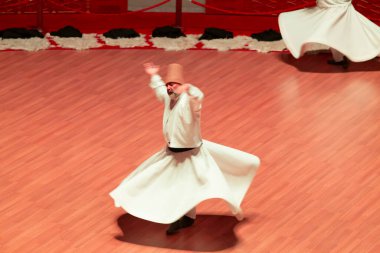 Mevlana Müzesi, 1926 'dan beri Mevlana' nın eski locası olan Konya 'daki bina kompleksinde faaliyet gösteren bir müzedir..