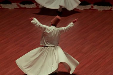 Mevlana Müzesi, 1926 'dan beri Mevlana' nın eski locası olan Konya 'daki bina kompleksinde faaliyet gösteren bir müzedir..