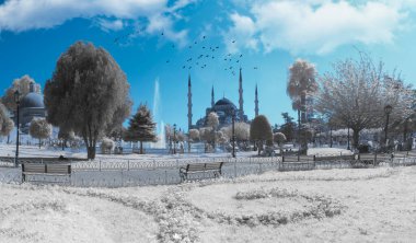 Kızılötesi manzara fotoğrafları, bir filtre ve değiştirilmiş bir kamera kullanıldı.