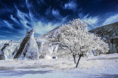 Kızılötesi manzara fotoğrafları, bir filtre ve değiştirilmiş bir kamera kullanıldı.