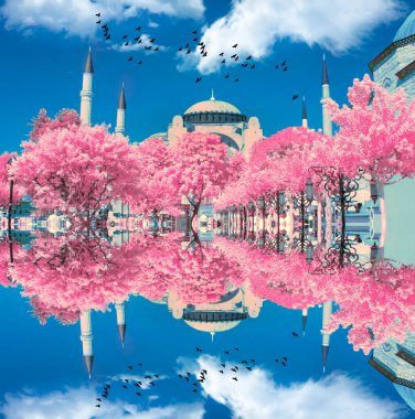 Kızılötesi manzara fotoğrafları, bir filtre ve değiştirilmiş bir kamera kullanıldı.