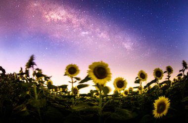 Samanyolu ve yıldız fotoğrafları takip ediyor