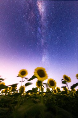 Samanyolu ve yıldız fotoğrafları takip ediyor