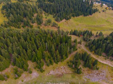 Avat, Artvin 'deki balık gölünün havadan görünüşü