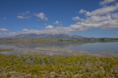 Adilcevaz, Bitlis ilinin Van Gölü kıyısında bulunan en küçük ilçesidir..