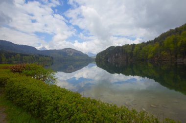 Alpsee, Almanya 'da Bavyera eyaletinde yer alan bir göldür..