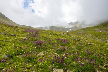 Kackar Dağları Ulusal Parkı: Dağ Gölleri ve Sahne