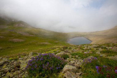 Kackar Dağları Ulusal Parkı: Dağ Gölleri ve Sahne