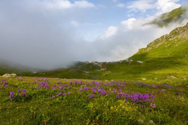 Kackar Dağları Ulusal Parkı: Dağ Gölleri ve Sahne