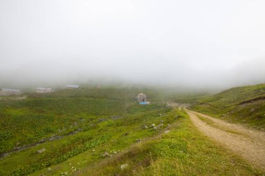 Kackar Dağları Ulusal Parkı: Dağ Gölleri ve Sahne