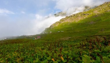 Kackar Dağları Ulusal Parkı: Dağ Gölleri ve Sahne