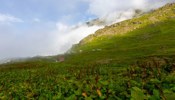 Kackar Dağları Ulusal Parkı: Dağ Gölleri ve Sahne