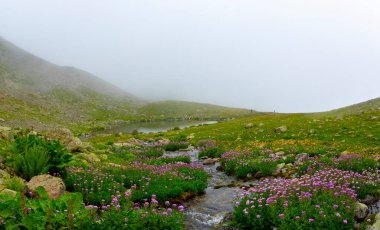 Kackar Dağları Ulusal Parkı ve dağ gölleri