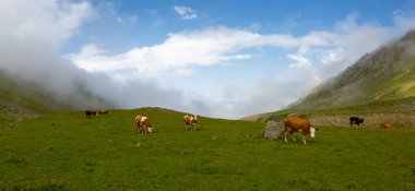Kackar Dağları Ulusal Parkı ve dağ gölleri