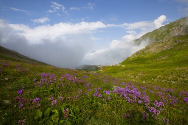 Kackar Dağları Ulusal Parkı ve dağ gölleri