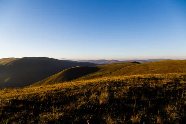 Yeşil çimlerle kaplı yüksek dağ çayırları mavi bulutsuz gökyüzü