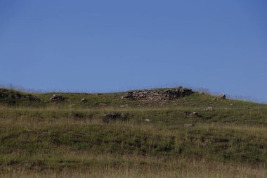 Yeşil bir tepenin üstündeki taş duvarın kalıntıları.