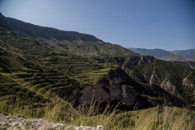 Yeşil çimlerle kaplı tepeler ve teraslar