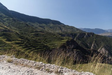 Yeşil çimlerle kaplı tepeler ve teraslar