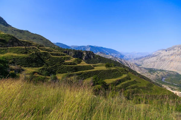 Dağıstan 'da parlak güneş ışığında yeşil dağ terasları