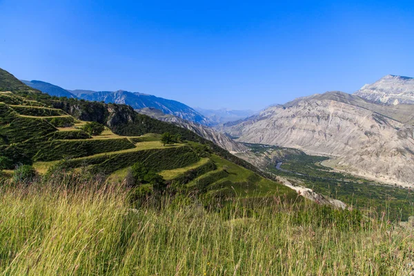 Yeşil çimlerle kaplı tepeler ve teraslar