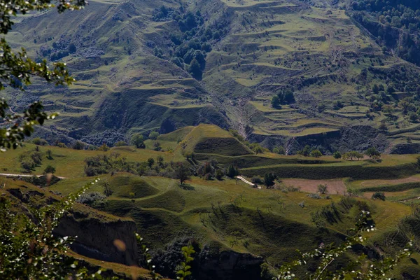 Yeşil çimlerle kaplı tepeler ve teraslar