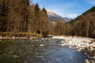 Sonbaharda şeffaf dağ nehri