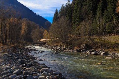 Sonbaharda şeffaf dağ nehri