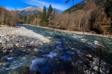 Sonbaharda şeffaf dağ nehri