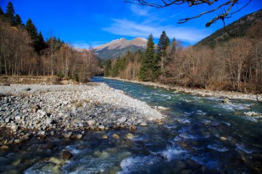 Sonbaharda şeffaf dağ nehri