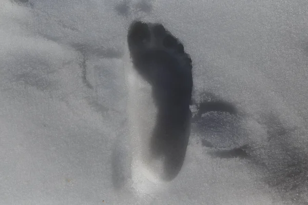 Karda çıplak bir insanın ayak izi.