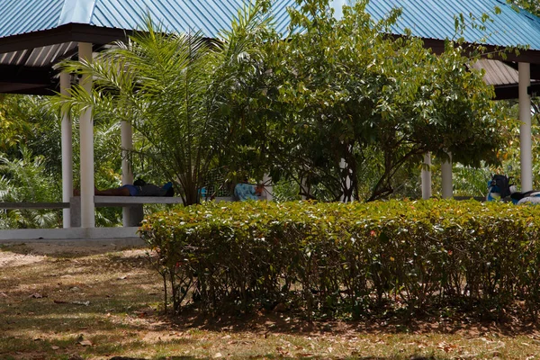 İnsanlar siesta 'da bir bankın üzerindeki gölgeliğin altında uyur. Rama Parkı 2.