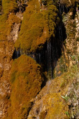 Küçük bir şelale yosunlu kayalardan aşağı akıyor. Grishkina Balka, Karachay-sız Cumhuriyet, Rusya