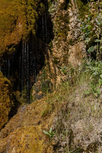 Uma Pequena Cachoeira Desce Pelas Rochas Musgosas Grishkina Balka Karachay — Fotografia de Stock