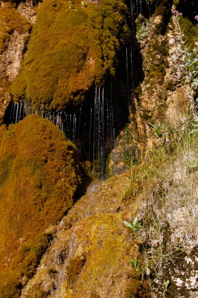 Uma Pequena Cachoeira Desce Pelas Rochas Musgosas Grishkina Balka Karachay — Fotografia de Stock