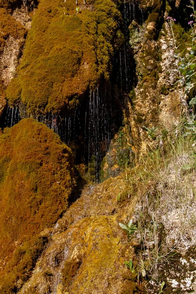 Küçük bir şelale yosunlu kayalardan aşağı akıyor. Grishkina Balka, Karachay-sız Cumhuriyet, Rusya