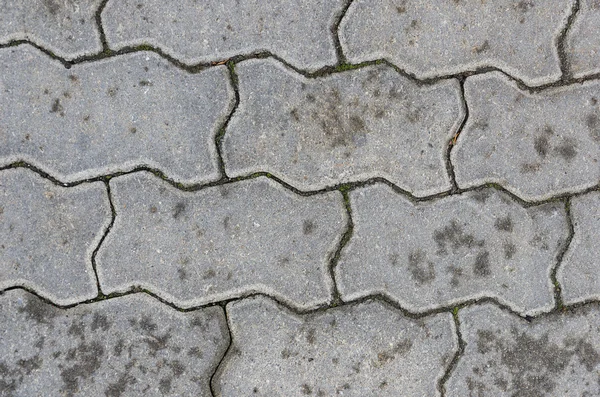 Pflasterstein — Stockfoto