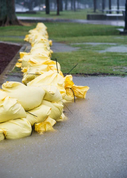 Sandsäcke in überflutetem Park — Stockfoto