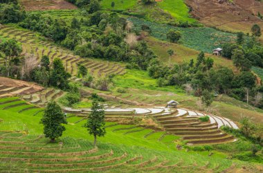 Teras alanı, arka plan tarım