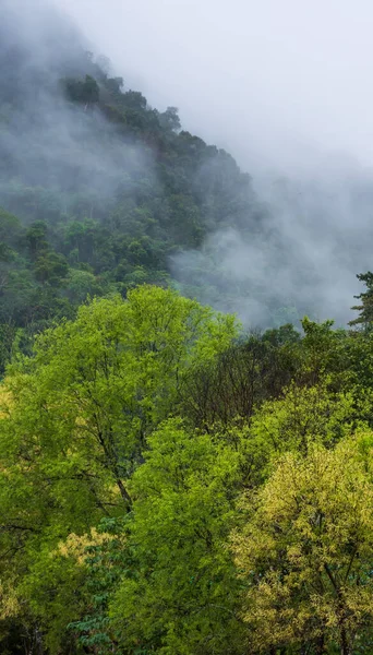 Nan Eyaleti Tayland Daki Dağın Manzarası — Stok fotoğraf