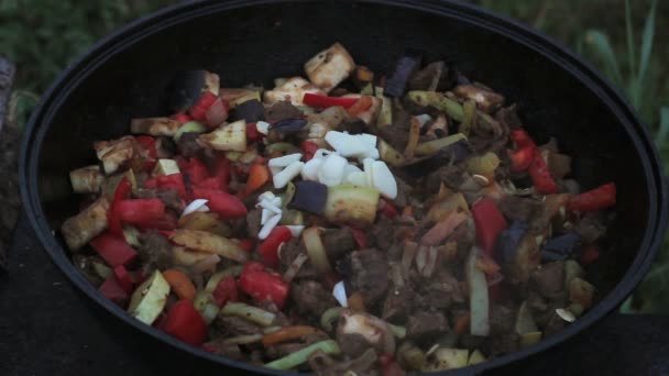 Ponha berinjelas em um grande pote com carne, cebolas, cenouras, abobrinha. todos os ingredientes são misturados com uma espátula de madeira. cozinhar em fogo aberto — Vídeo de Stock