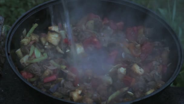 Ponha berinjelas em um grande pote com carne, cebolas, cenouras, abobrinha. todos os ingredientes são misturados com uma espátula de madeira. cozinhar em fogo aberto — Vídeo de Stock