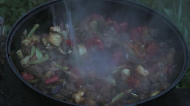 Metta melanzane in una pentola grande con carne, cipolle, carote, zucchine. tutti gli ingredienti sono mescolati con una spatola di legno. cottura a fuoco aperto — Video Stock